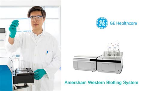 Western Blotting Transformed By Ge Healthcare Life Sciences