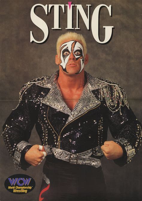 Wcw Sting 1995