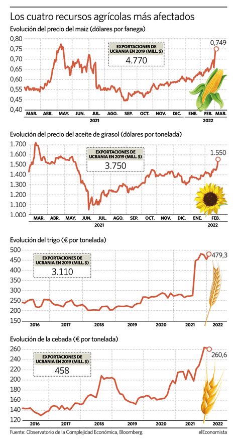 Trigo Maíz Y Girasol Suben Hasta Un 50 Y Encarecen La Cesta De La Compra