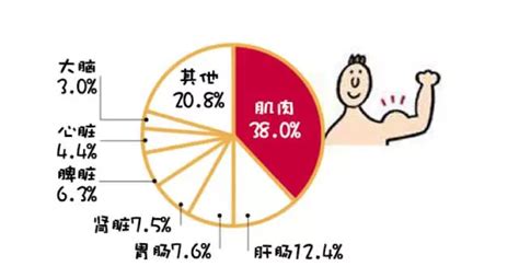 喝白水都长胖？基础代谢率是关键！ 搜狐体育