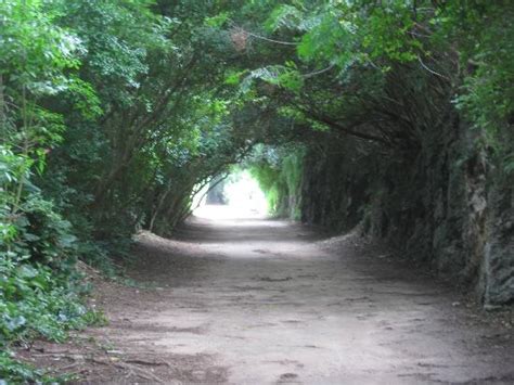 Bermuda Railway Trail All You Need To Know Before You Go With Photos