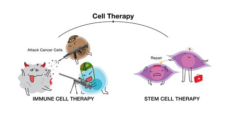 cell based therapy