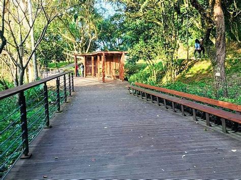 桃園療癒步道：五酒桶山海山之路，享受背山面海擎天大草坪觀景之美！親民好走登山步道再加1 輕旅行