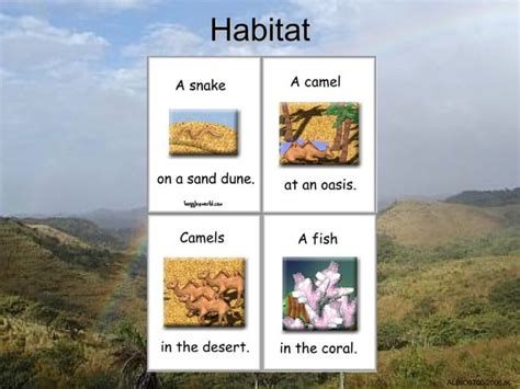 01 Levels Of Ecological Organisation PPT