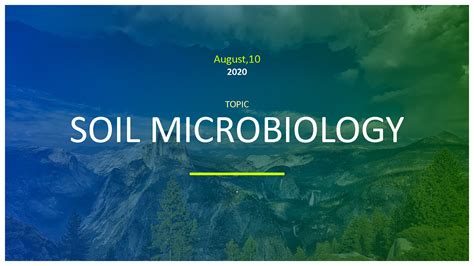 SOLUTION Basics Of Soil Microbiology Studypool