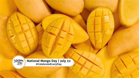 July National Hammock Day National Mango Day National