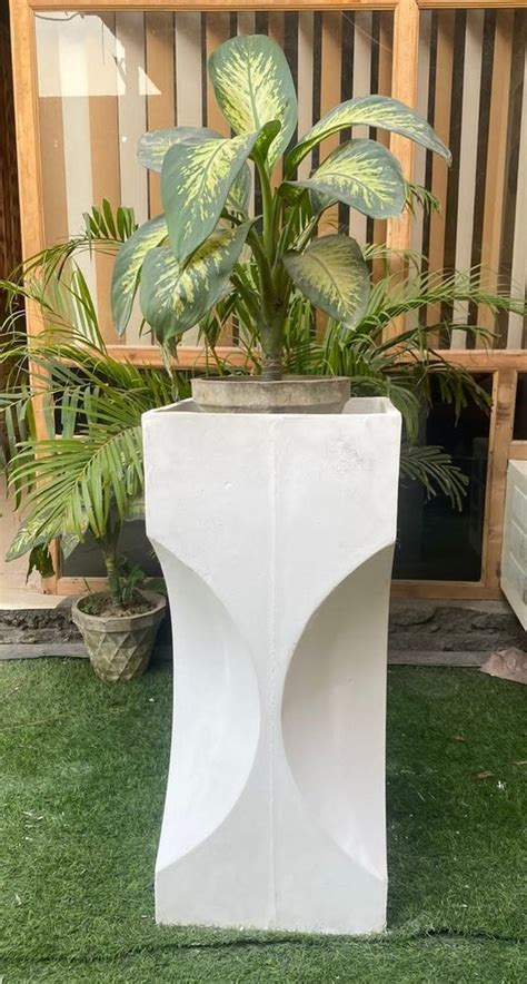 White Rectangular 20mm FRP Garden Planter Size 4x2 Feet Lxw At Rs