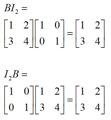 The identity matrix and its properties - MathBootCamps