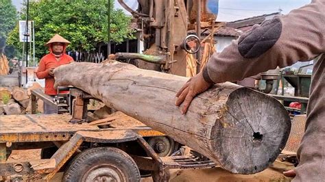 Penggergajian Kayu Jati Kampung Mesin Bandsaw Rakitan Youtube