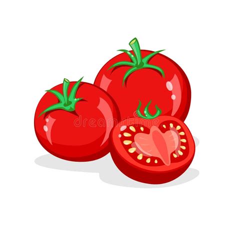 Tomato Whole And Half Cut Tomatoes Vector Cartoon Illustration Stock