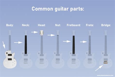 Guitar Part Names Electric And Acoustic Guitars Musician Wave