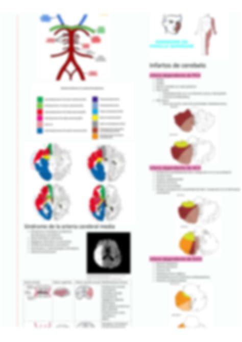 Solution Enfermedades Cerebrovasculares Studypool