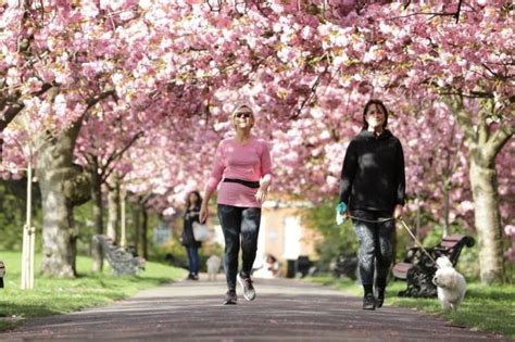 Basta Camminare Anche Solo Minuti In Pi Al Giorno Per Allungare La Vita