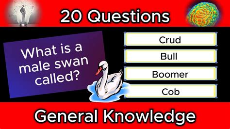 20 Questions General Knowledge Quizzes And Trivia No 5 Youtube