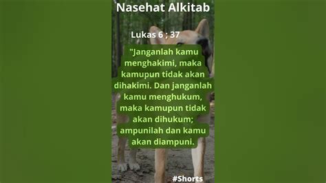 Nasehat Alkitab Youtube