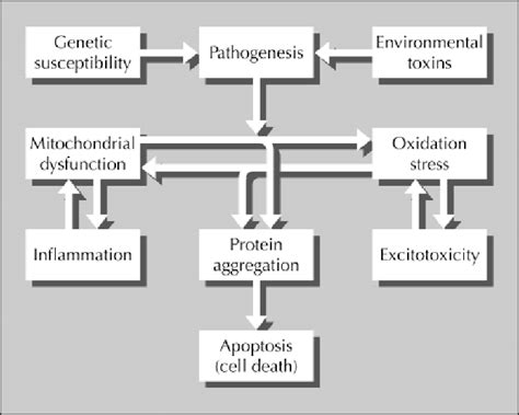 Causes Of Parkinsons Disease Download Scientific Diagram