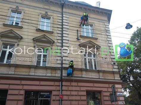 Kompleksowe Zabezpieczenie Elewacji Kolce Na Ptaki