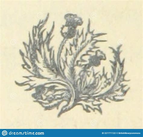 British Library Digitised Image From Page 29 Of The Rose Shamrock And