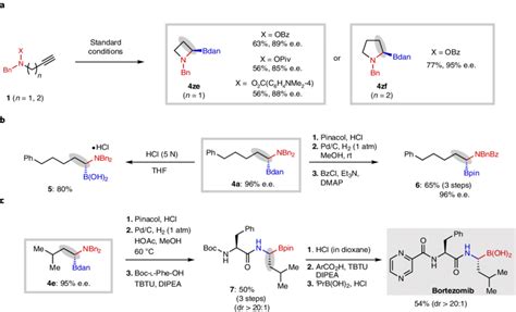 Synthetic Applications Of The Enantioselective 11 Aminoboration