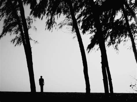 Premium Photo Silhouette Man Standing By Tree