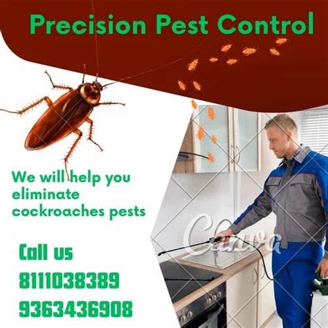 Cockroach Control Services At Rs 6sq Ft In Coimbatore Id 2852691042988