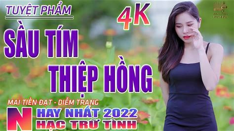 Sầu Tím Thiệp Hồng Ly Rượu Đắng Cay Nhạc Trữ Tình Hay Nhất 2022 Lk