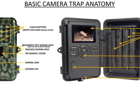 Camera Trap Anatomy Camera Traps Cc