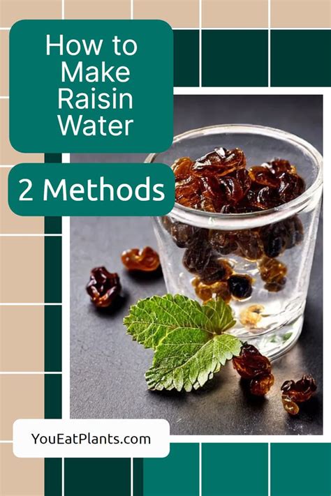 What Is Raisin Water Health Benefits And Recipe