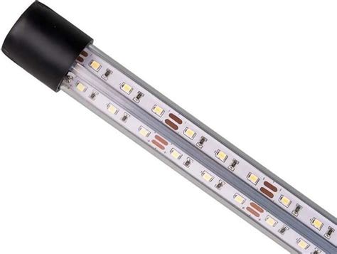 Diversa Led Expert W O Wietlenie Ceny I Opinie Ceneo Pl