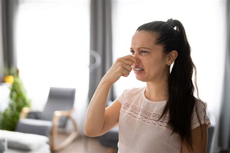 Dicas Para Eliminar Odores Indesejados Em Casa