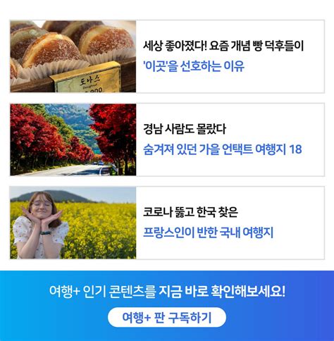 틱톡으로 여행 `100만은 우습다` 유튜브와 차원이 다른 틱톡의 여행 인플루언서 네이버 포스트