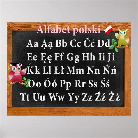 Cute Professor Owl Polish Alphabet Alfabet Polski Poster Zazzle