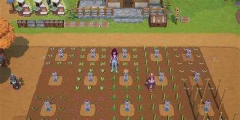 Best Tips For Your Farm Layout In Coral Island