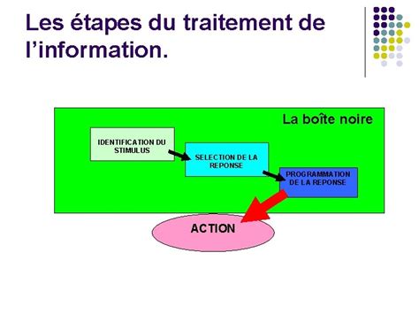 Chapitre 2 Le Traitement De Linformation Introduction L