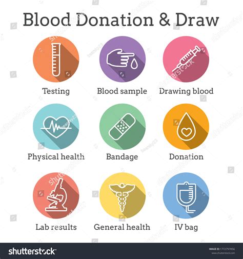 726 Yearly Blood Work Images, Stock Photos & Vectors | Shutterstock