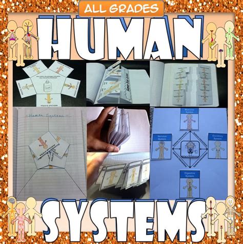 Human Body Systems Graphic Organizers For Interactive Notebooks