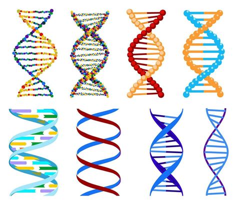 Dna Gen Tico Sinal Elementos E Cones Cole O Pictograma Do Dna