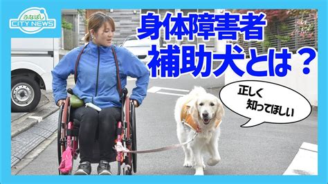 5月22日は“ほじょ犬の日”～正しく知ってほしい 身体障害者補助犬～ Youtube