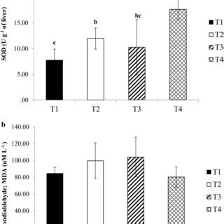 Superoxide Dismutase Activity SOD In Liver A And Serum