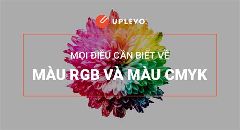 Mọi Điều Cần Biết Về 2 Mã Màu RGB & Màu CMYK - Design box