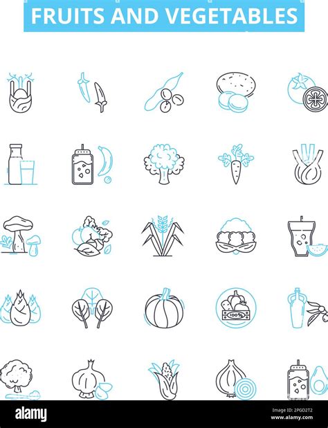 Fruits And Vegetables Vector Line Icons Set Fruit Vegetable Apple