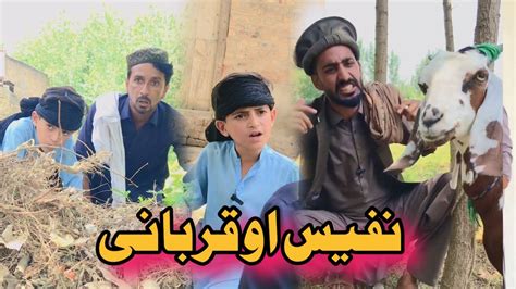 Nafees Aw Qurbani Pashto Funny Video Afaq Aw Nafees 2023 YouTube