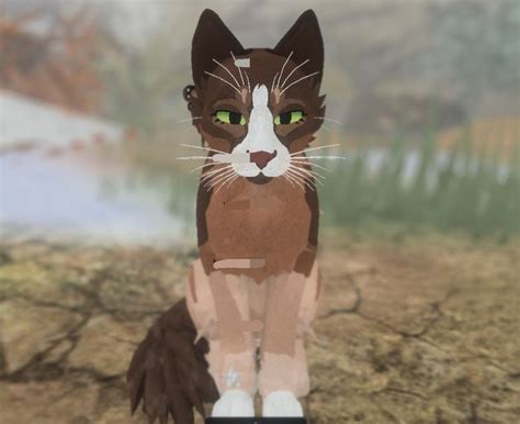 Pin By Katarzyna On Warrior Cats Oc Ideas Warrior Cats Fan Art