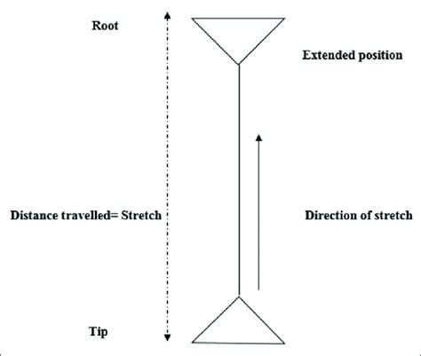 Schematic Representation Of The Tensile Test Download Scientific Diagram