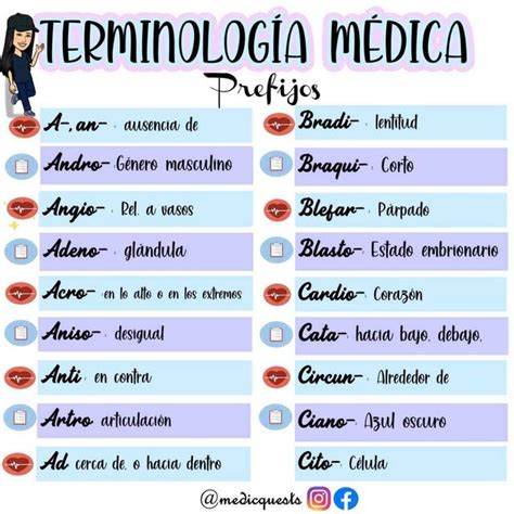 Terminología médica uDocz