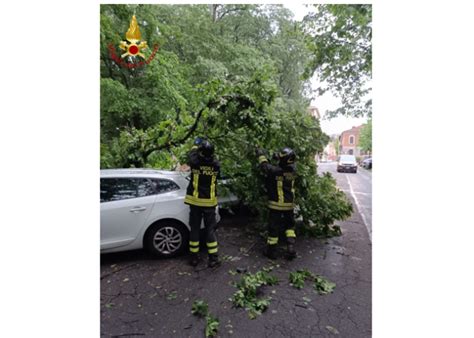 Asti Ramo Di Un Albero Dei Giardini Pubblici Cade Su Due Auto