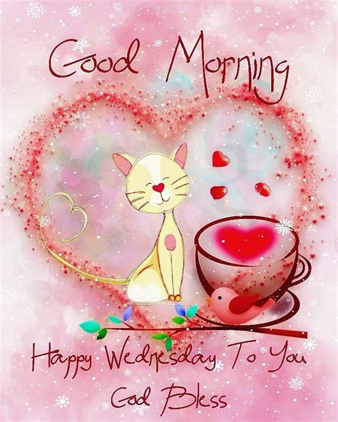 Love Cat Good Morning Happy Wednesday To You Pictures Photos And