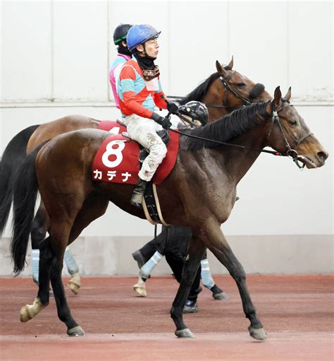 【東海s】初ダートで12番人気カデナは5着 和田竜二騎手「これからが楽しみです」 スポーツ報知