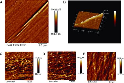 Surface Feature Analysis Of Additively Manufactured Paa Substrates By