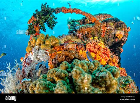 Corals Growing On Ship Wreck Underwater While Diving Stock Photo Alamy